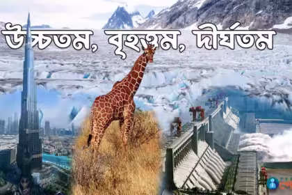 The highest, largest and longest in the world