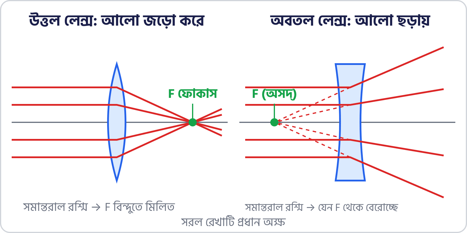 Parallel rays through a convex and a concave lens